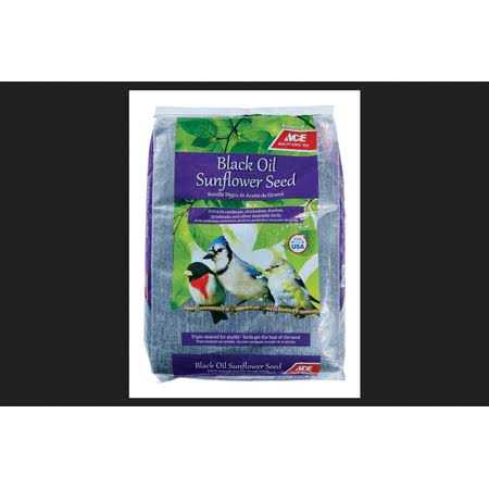 Black Oil Sunflower Seed Wild Bird Food E578503