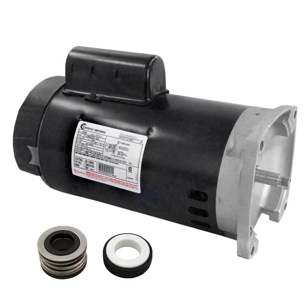 Motor and Seal Replacement Kit V61521
