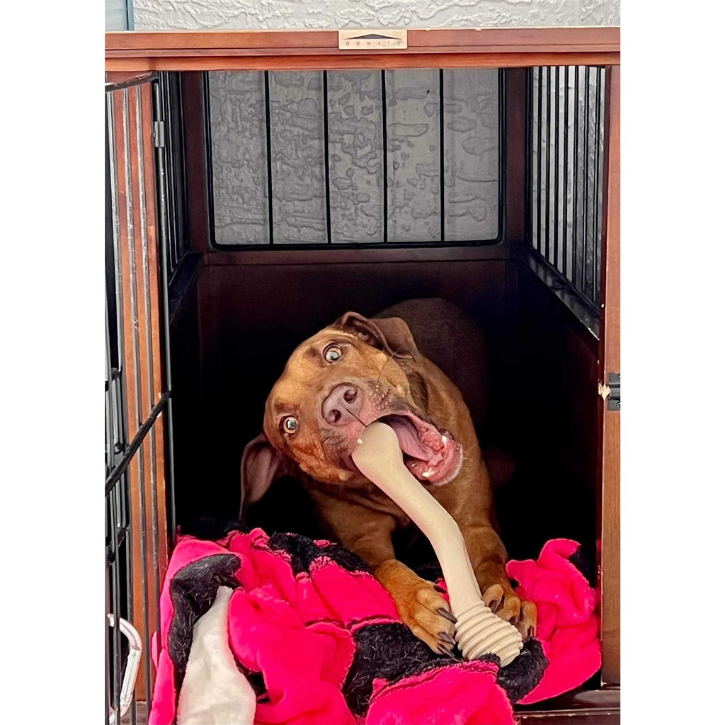 Tough Dog Chew Beef O4386