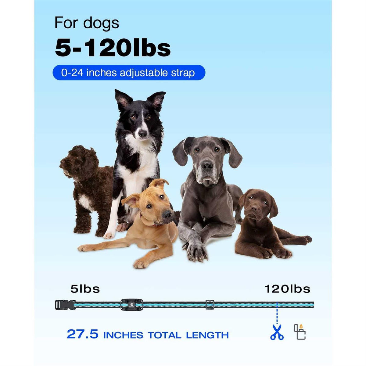 Dog Training Collar with Remote Rechargeable V246168