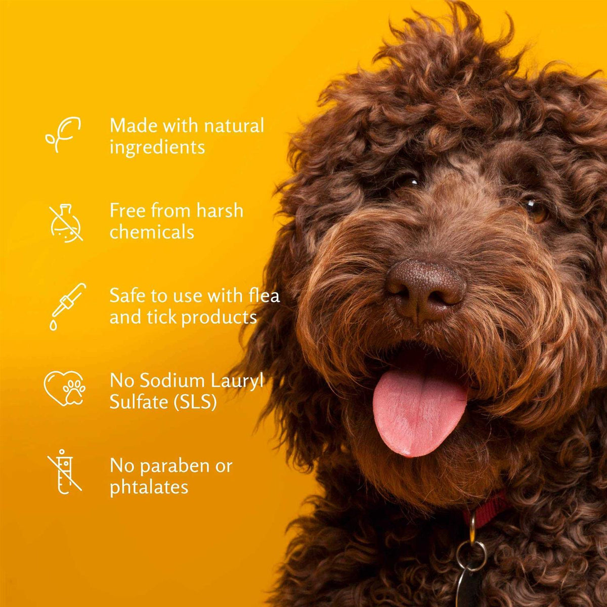 Super Deodorizing Dog Shampoo V66710
