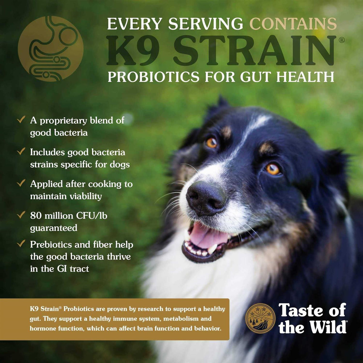 Southwest Canyon Dog Food S228