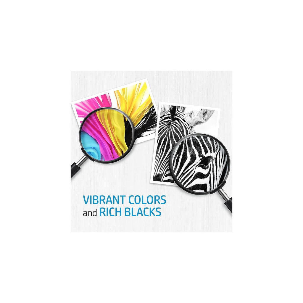 Matte Black Ink Cartridge R2213