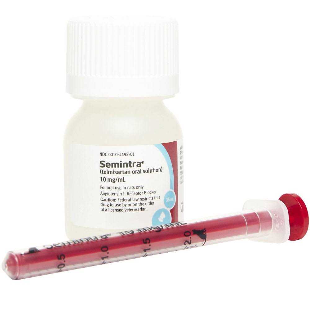 Oral Solution for Cats 10 mg/ml V756992