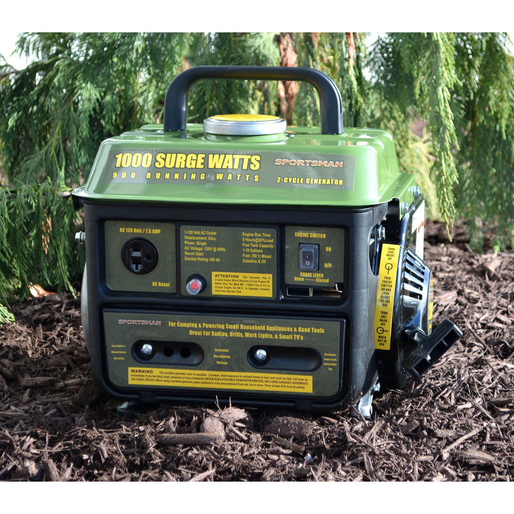 1000 W Portable Generator F6323