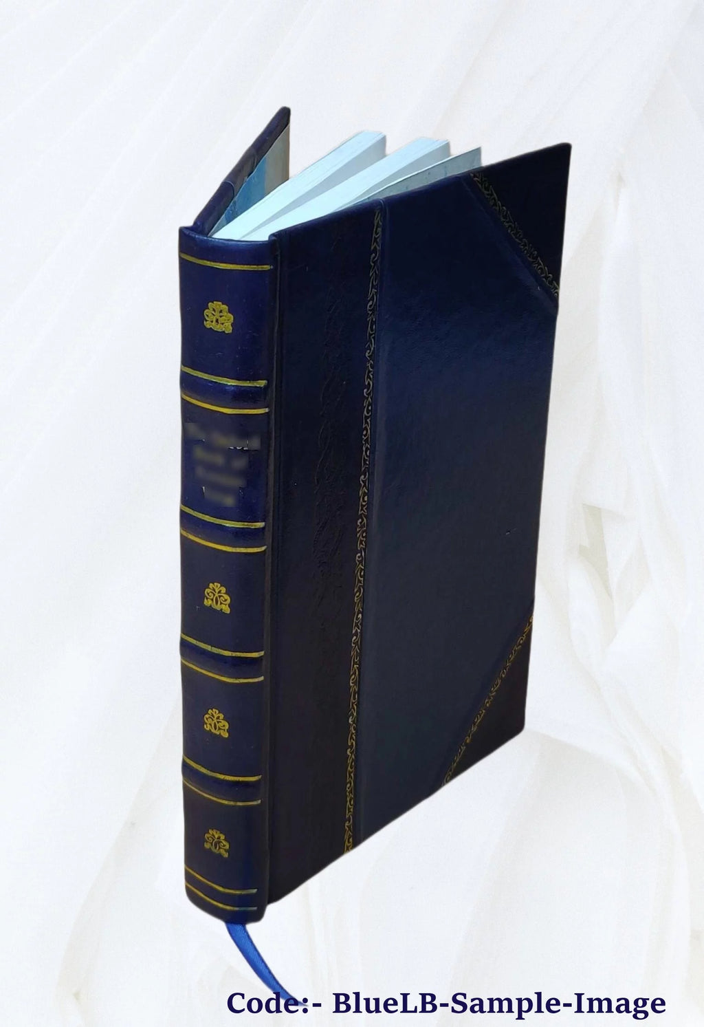 Sweet corn 1915 Leather Bound I670868