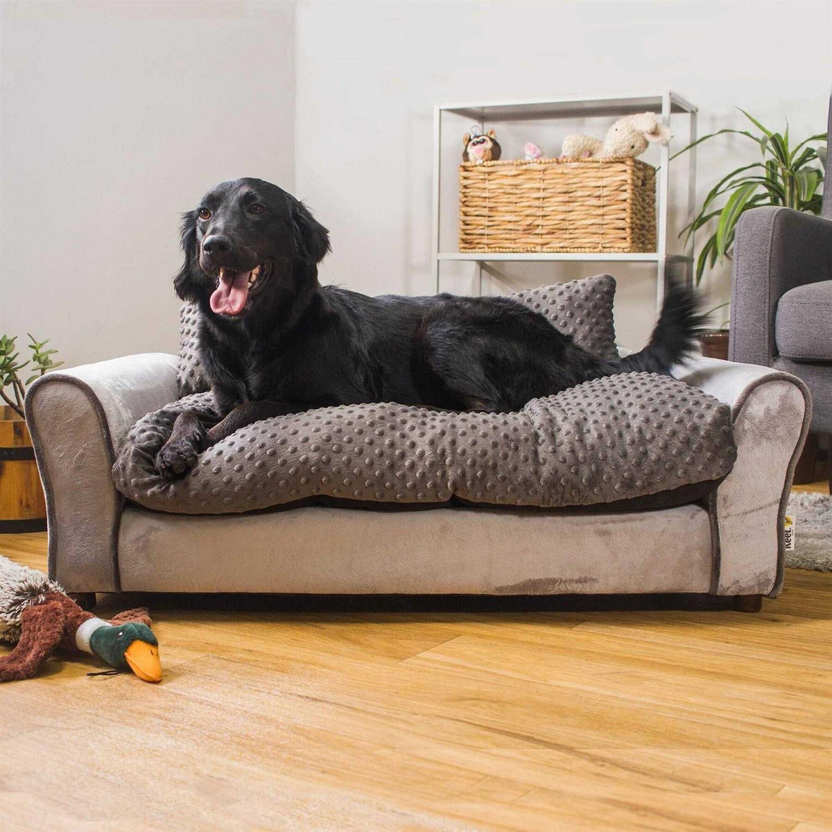 Pet Sofa Bed Q27681