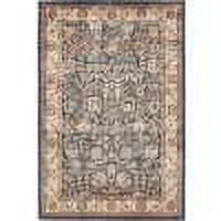 Light Blue Burgundy 4' 1" x 6' 1" Floral Rug N26129