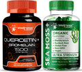 Quercetin with Bromelain Supplement - Irish Sea Moss Gummies D931