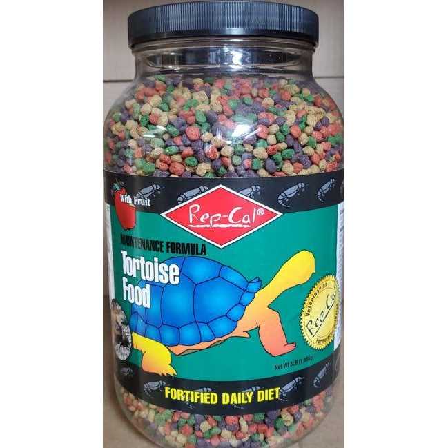Adult Iguana Food R256930