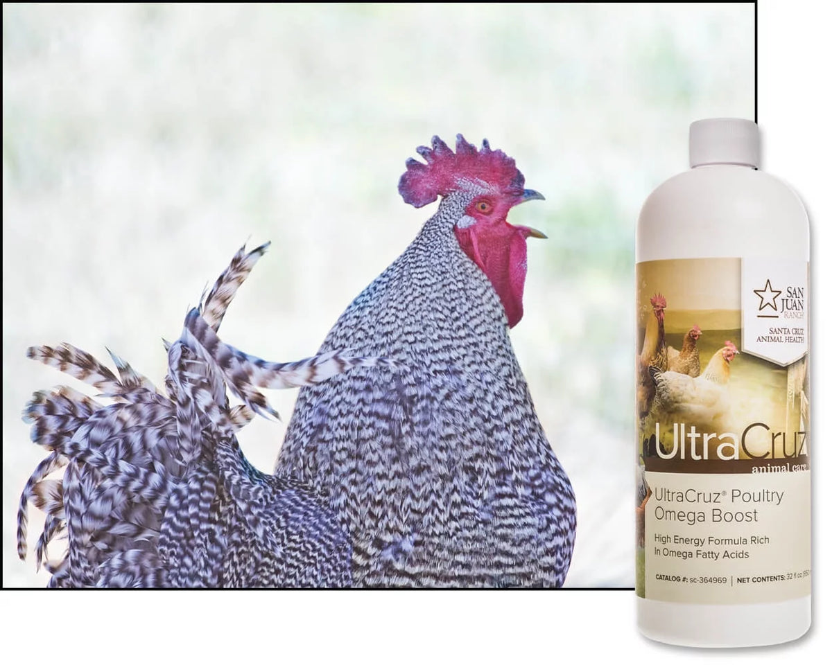 Poultry Supplement 32 oz P826000