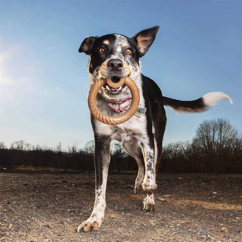 Durable Chew Toy for Aggressive Chewers Q95538