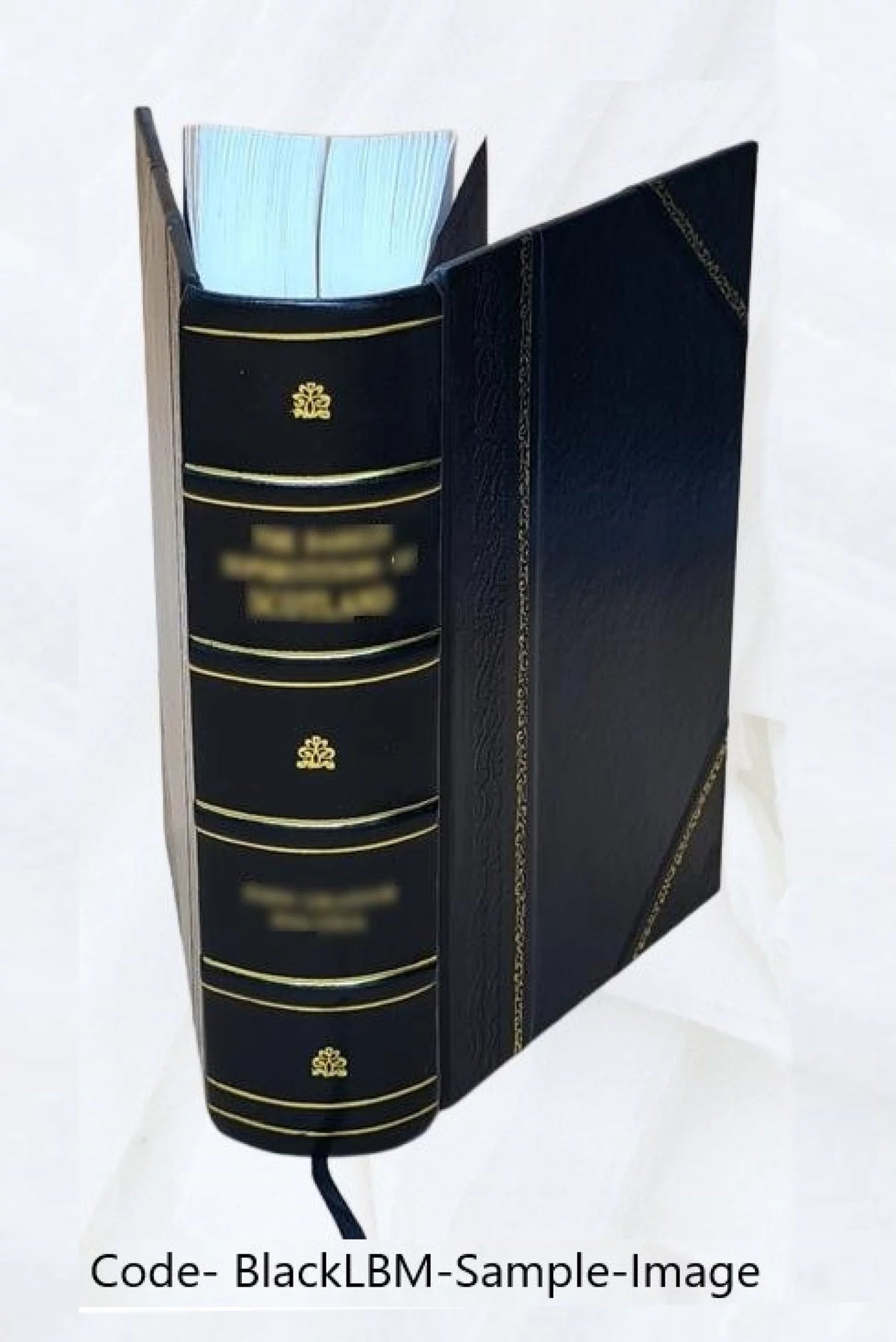 Frederick the Great Silesian Campaigns Seven Years' War Leather Bound I67545