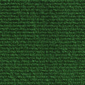Green Indoor Outdoor Carpet with Rubber Marine Backing H88938