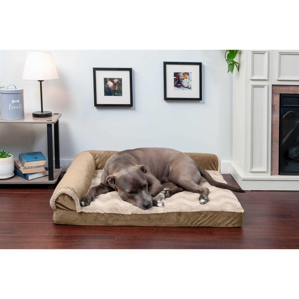 Velvet Chaise Lounge Dog Bed W89798