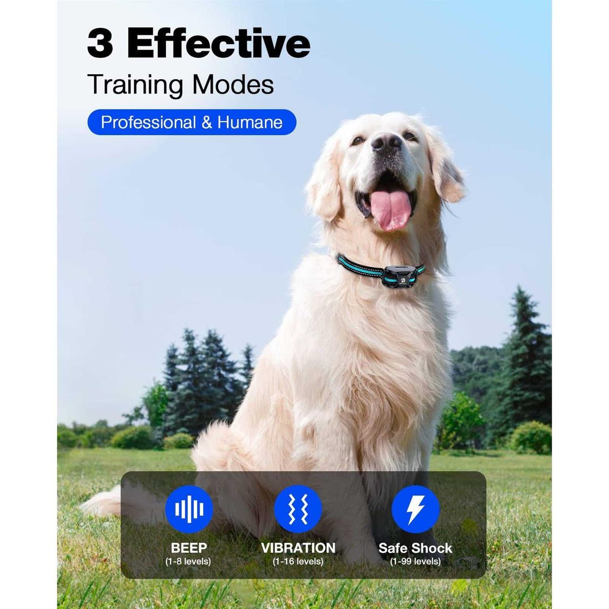 Dog Training Collar with Remote Rechargeable V246168