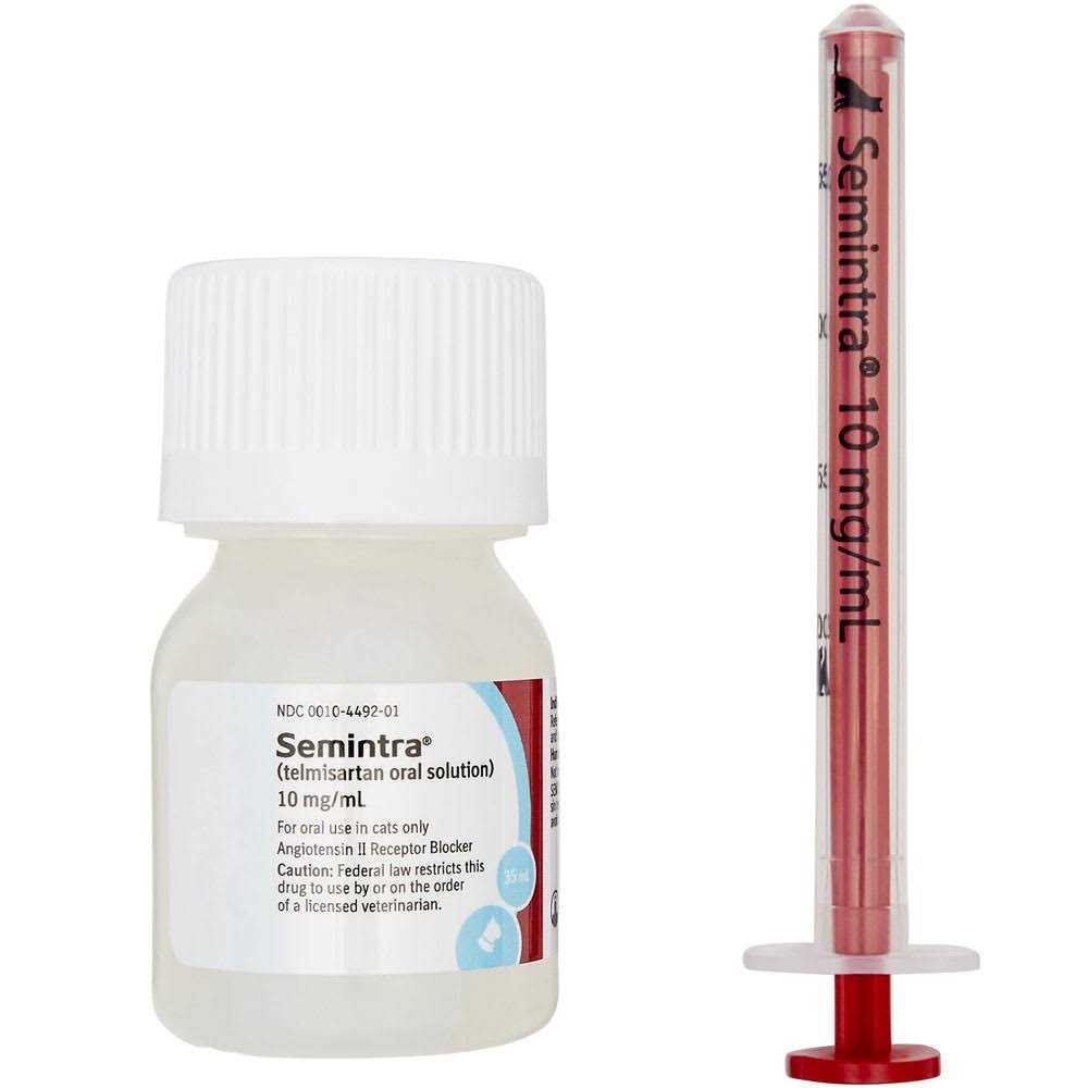 Oral Solution for Cats 10 mg/ml V756992