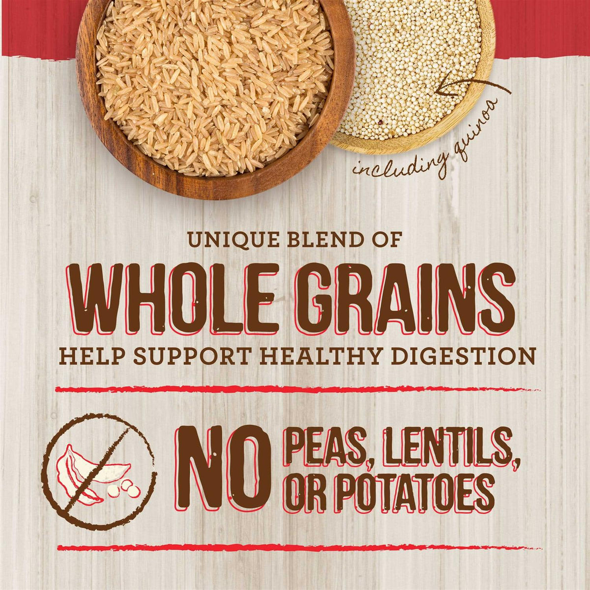Real Ancient Grains Dry Dog Food S42110
