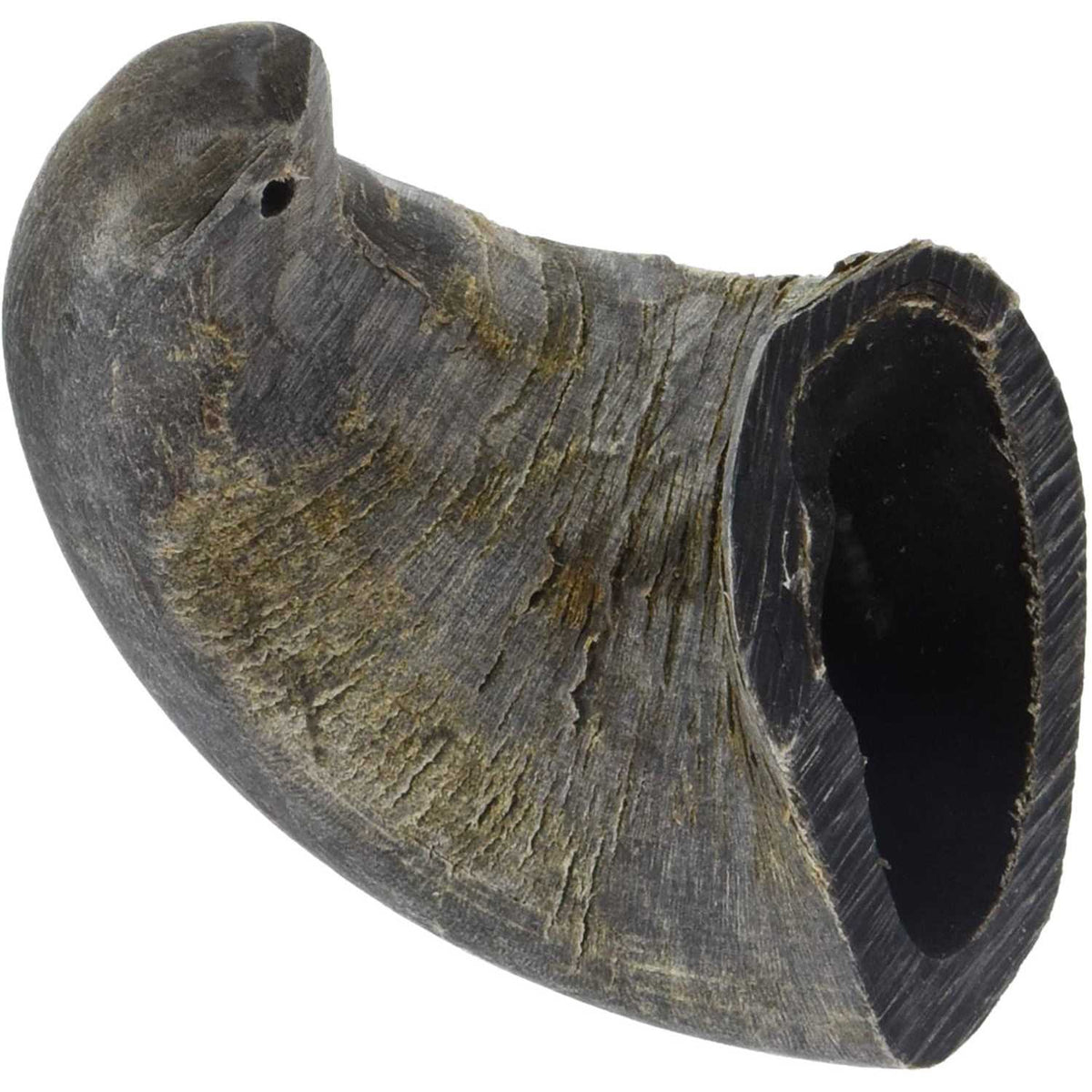Dog Water Buffalo Horn Small U306266