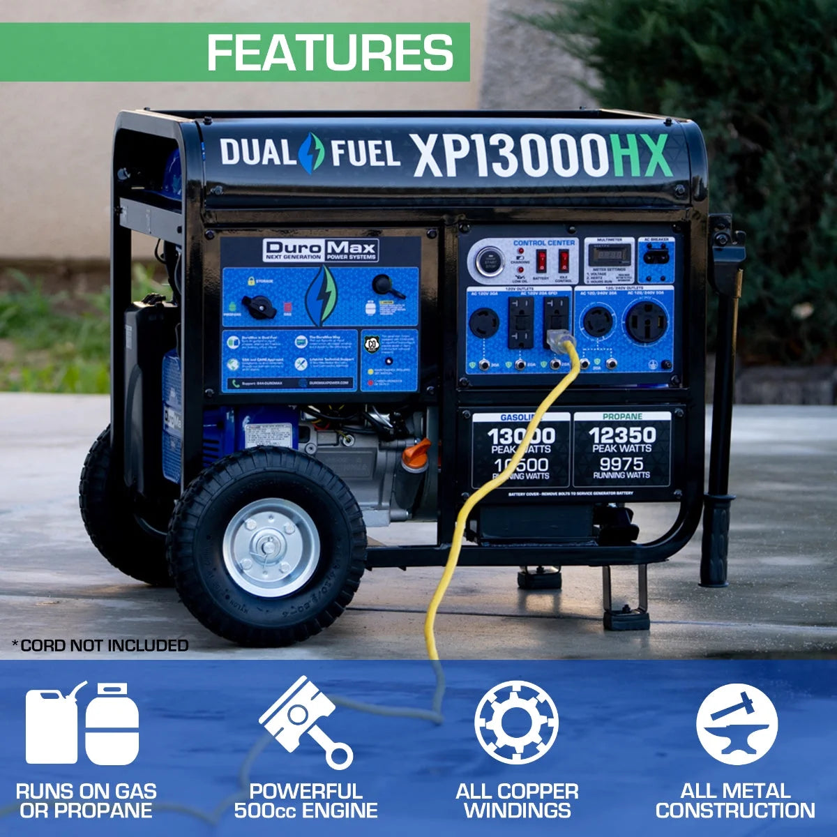 13,000 Watt Dual Fuel Portable Generator S224