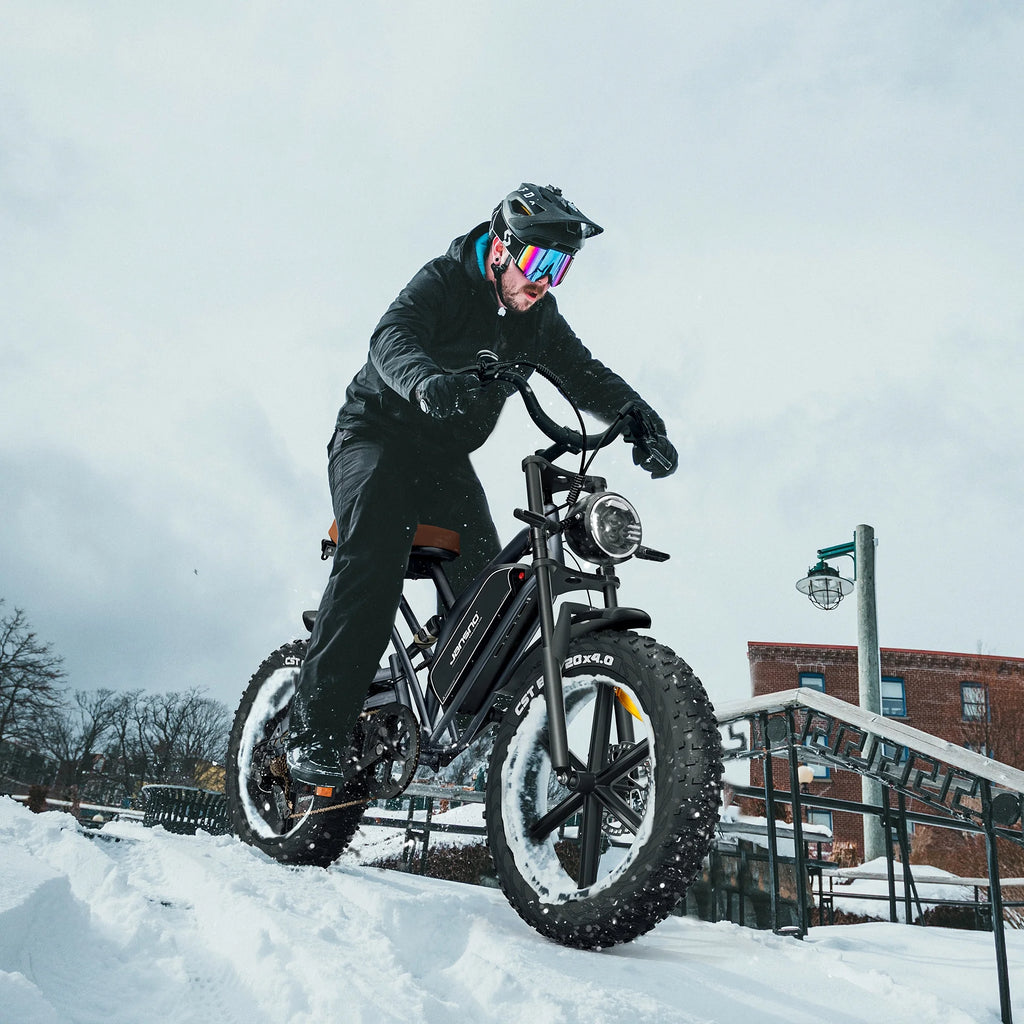 20" 4.0 Fat Tire 750W Electric Bike F81277