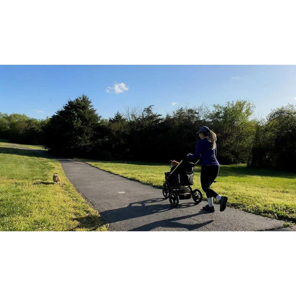 All Terrain Pet Jogging Stroller Y3899
