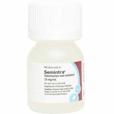 Oral Solution for Cats 10 mg/ml V756992