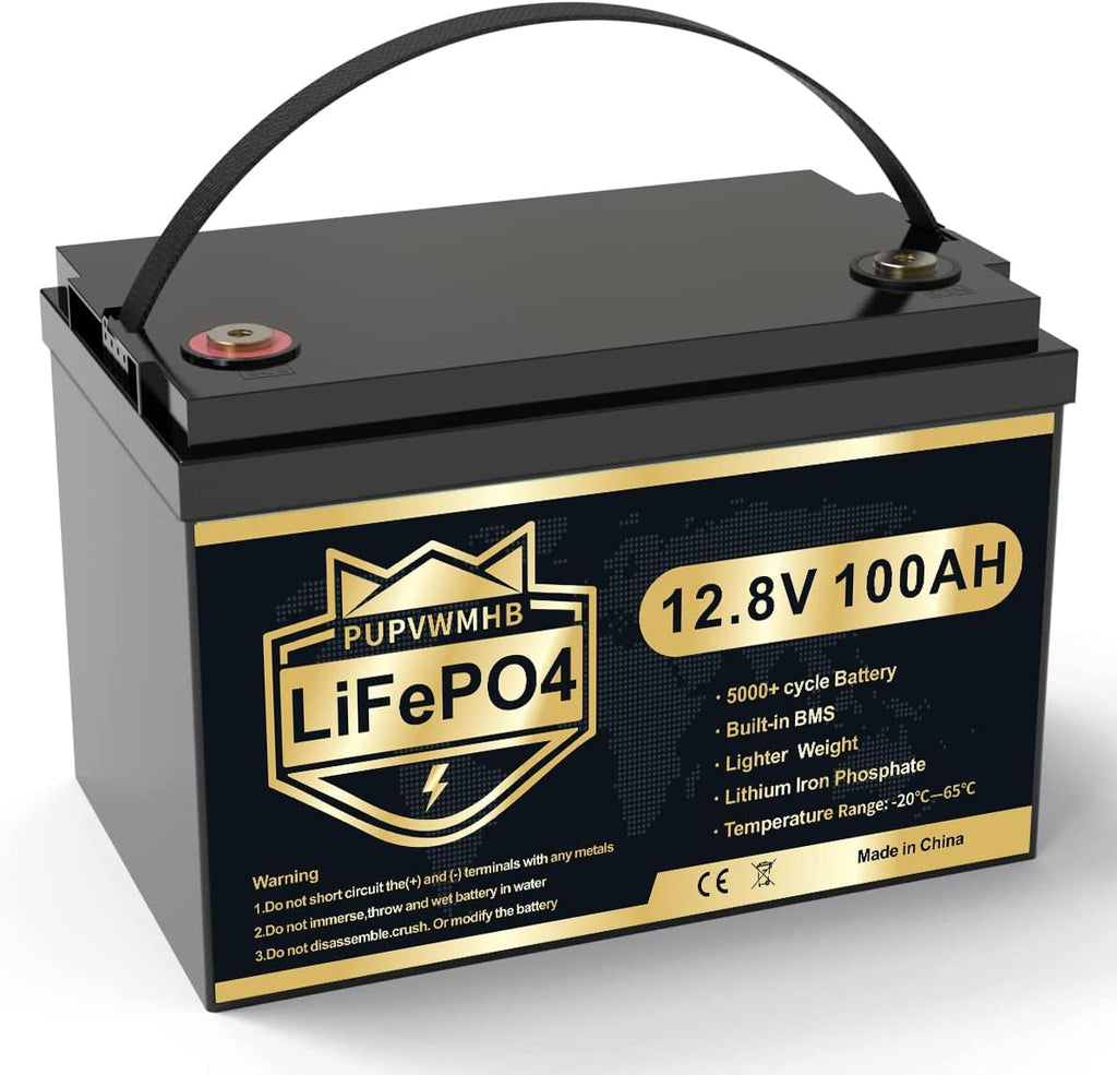 12V 100Ah LiFePO4 Battery with 100A BMS J12374