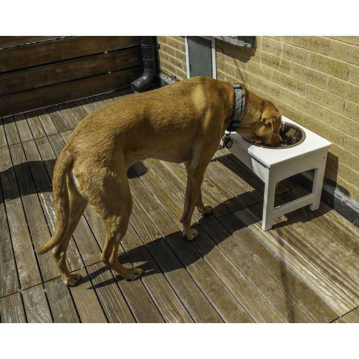 Pet Feeder D4804