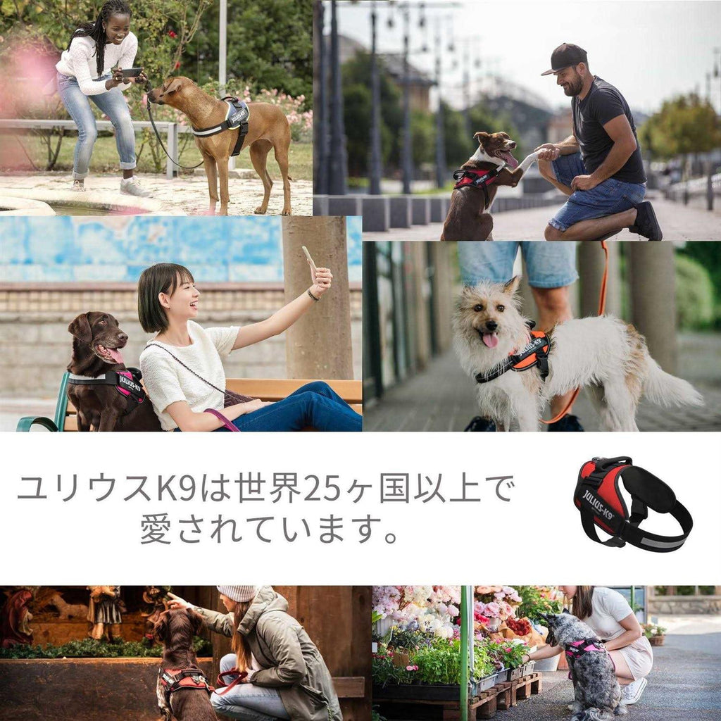 Powerharness Y4727