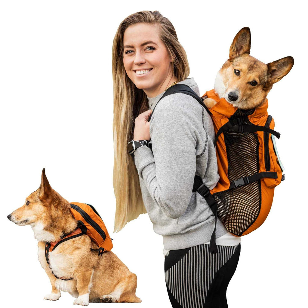 Walk On with Harness & Storage F105