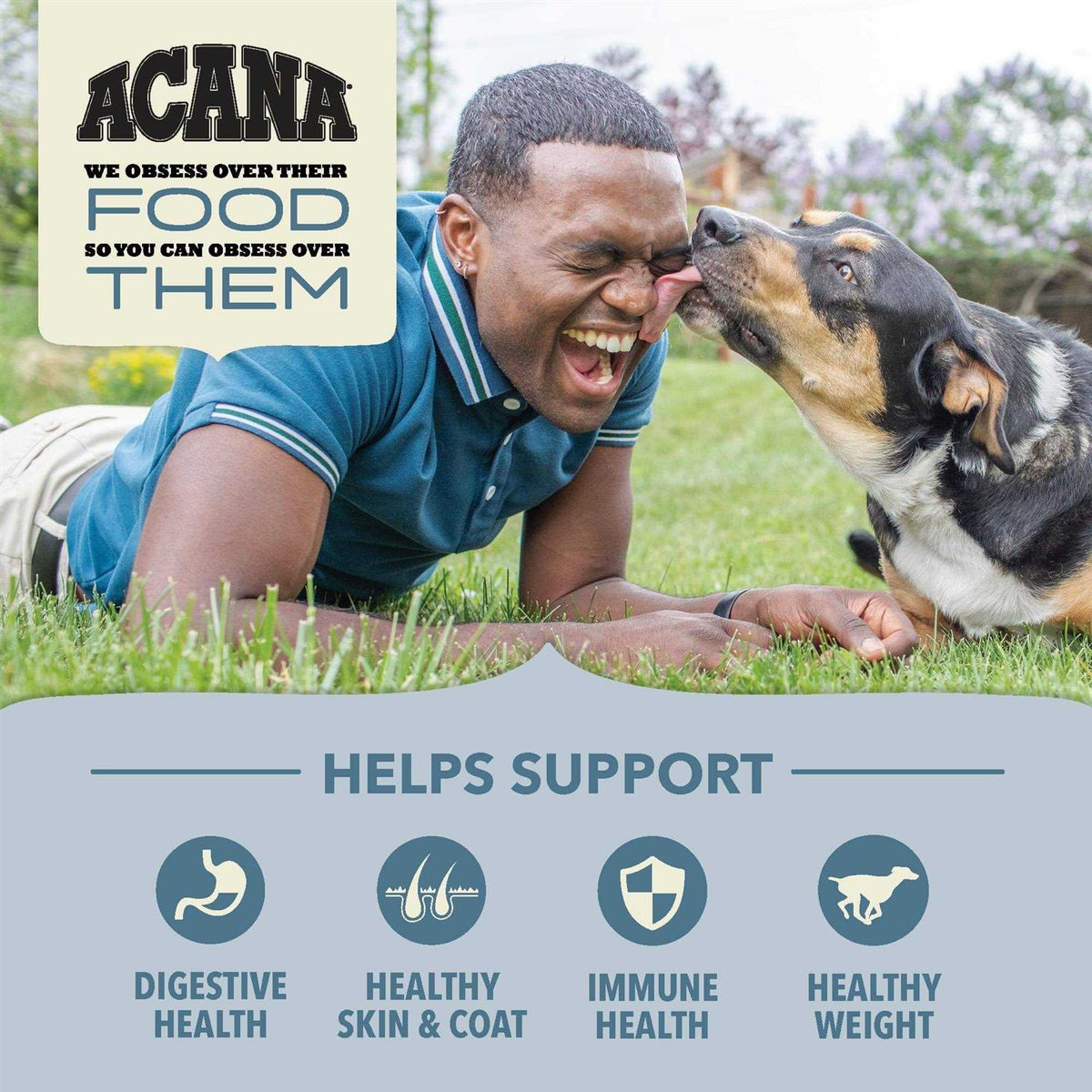 Dry Dog Food R4000
