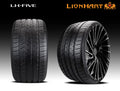 All Season 295/25ZR22 97W XL Passenger Tire V129303