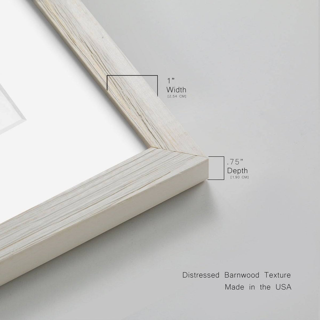 Framed Print B1530