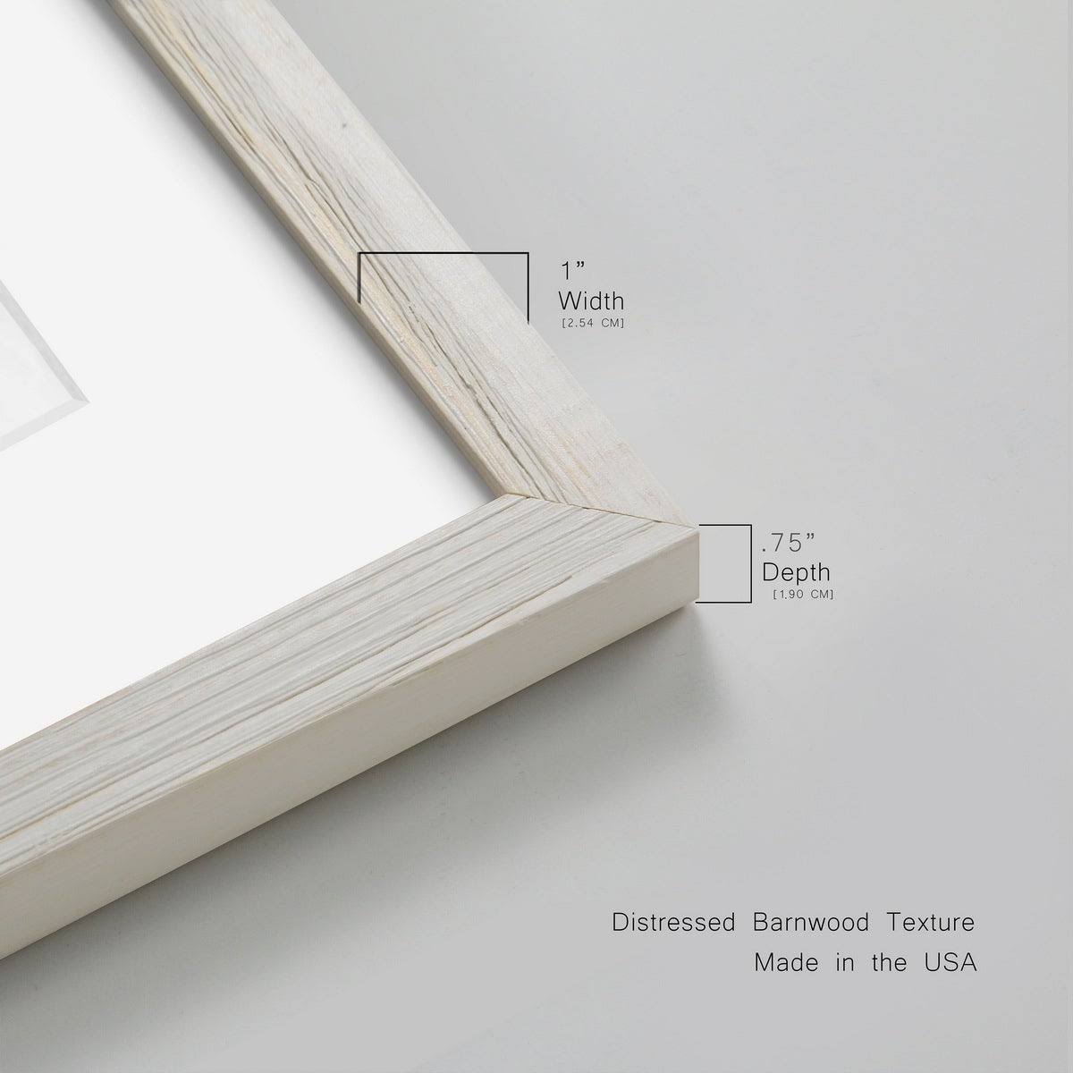 Framed Print B1530