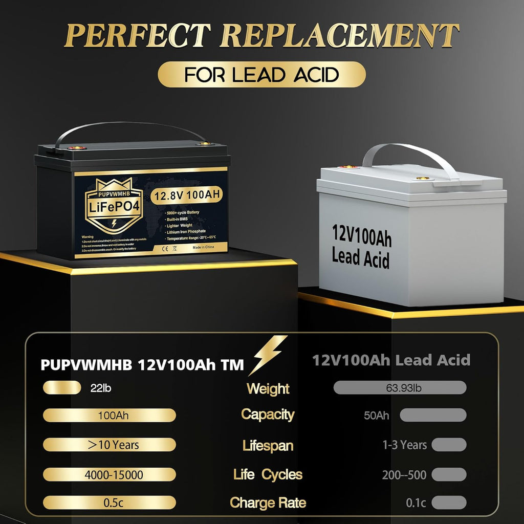 12V 100Ah LiFePO4 Battery with 100A BMS J12374