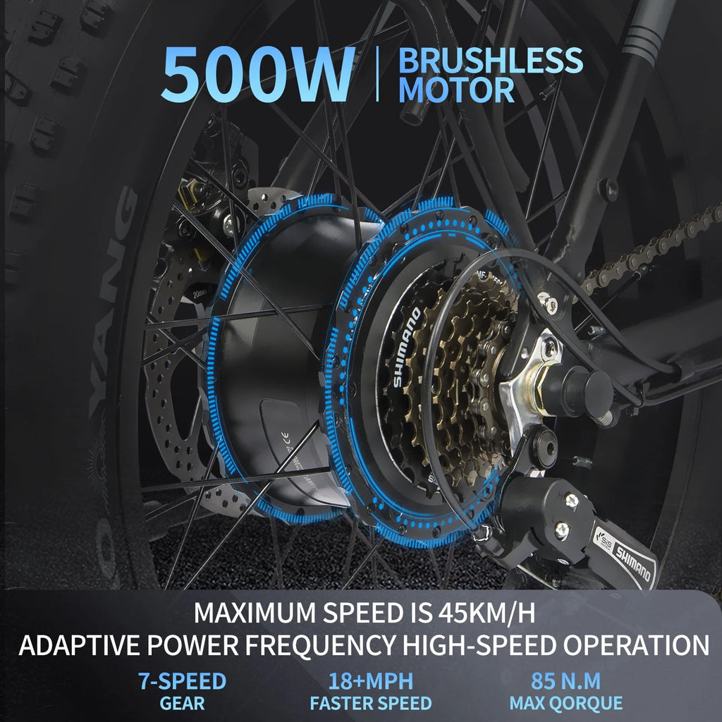 20 Fat Tire 750W 48V 14AH Foldable Electric Bike V12184