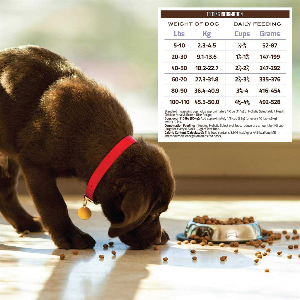 Chicken Meal Rice Dry Dog Food Y309793