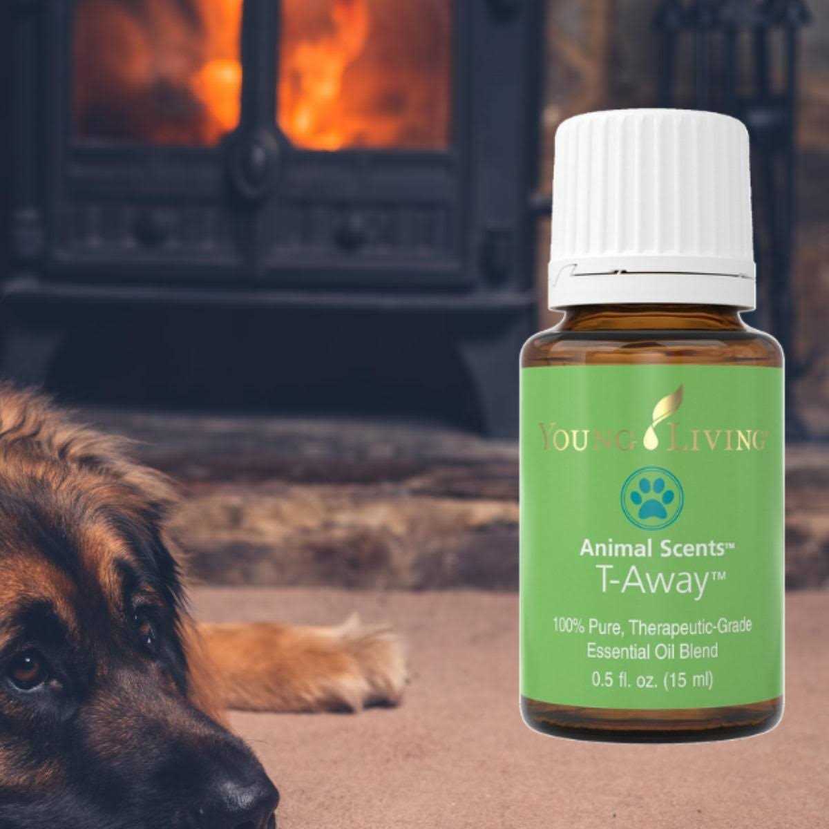 Pet Supplies N58155