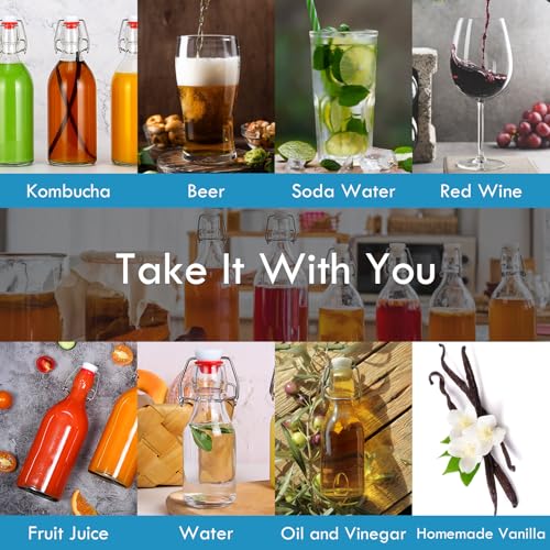 16 oz Glass Swing Top Bottles 6 Pack E975