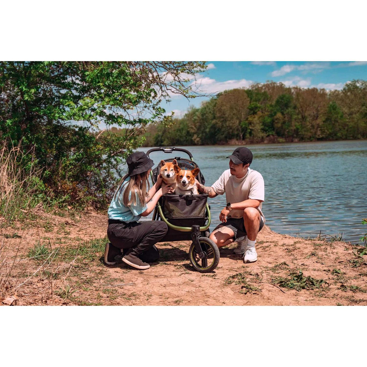 All Terrain Pet Jogging Stroller Y3899