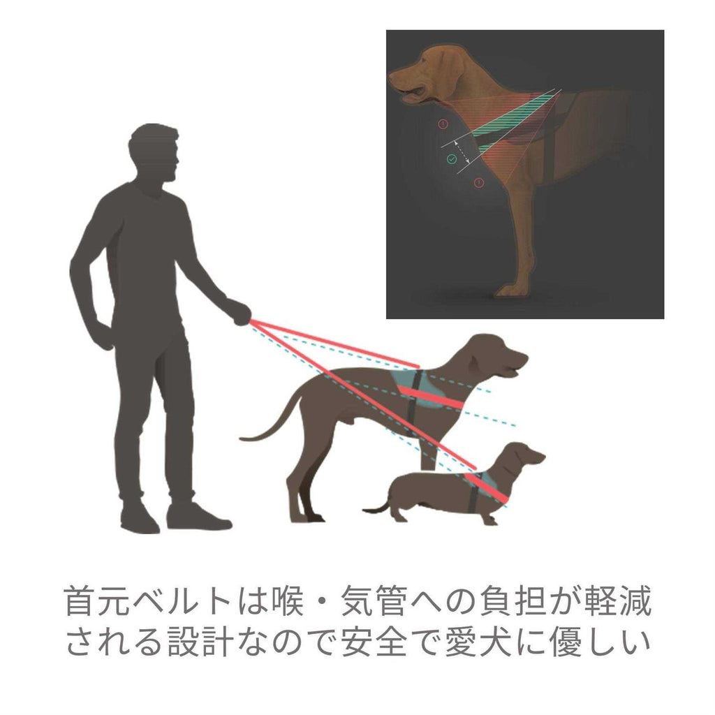 Powerharness Y4727