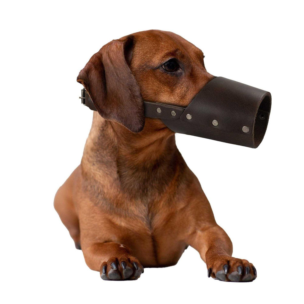 Leather Dog Muzzle Guard O15621