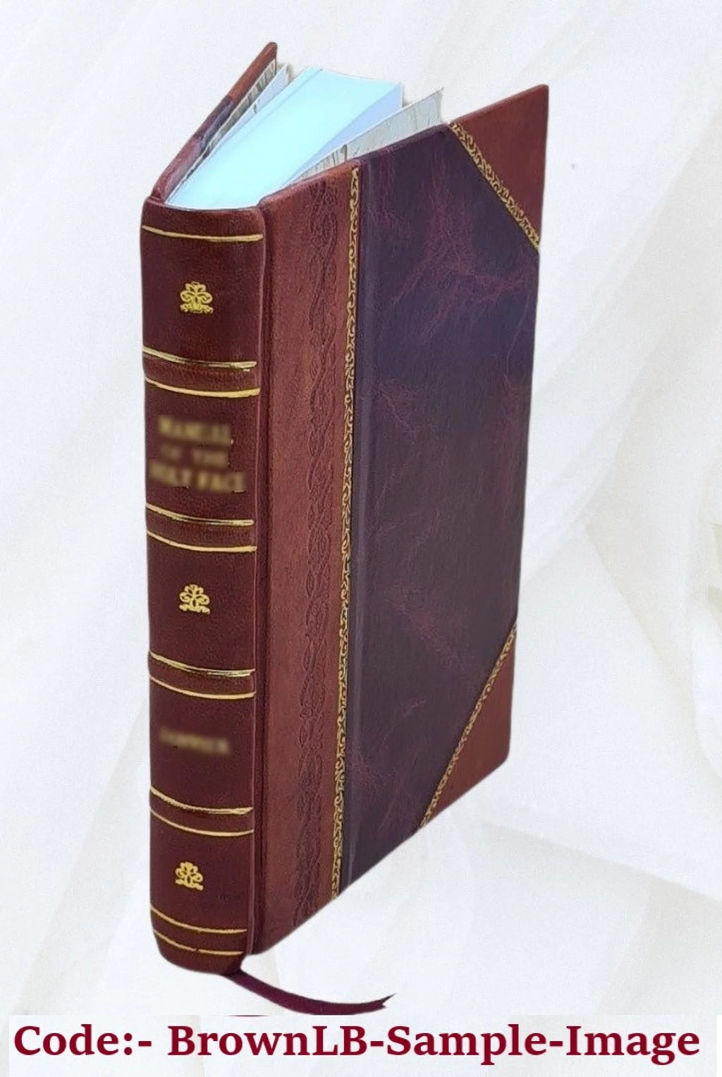 Sweet corn 1915 Leather Bound I670868