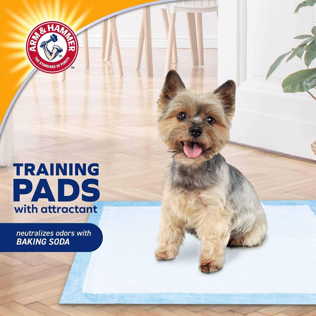 Dog Puppy Training Pads with Attractant K4122