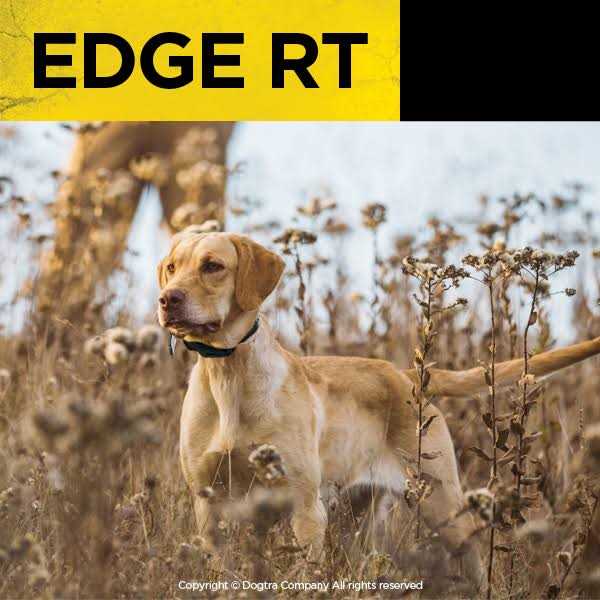 Dogtra EDGE RT B338828