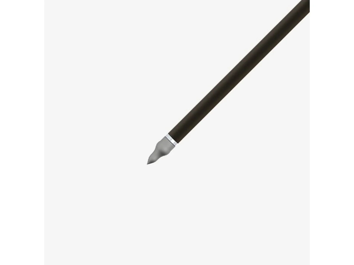 Gold Tip Hunter XT 300 2 inch Raptor Vanes 1dz L22154