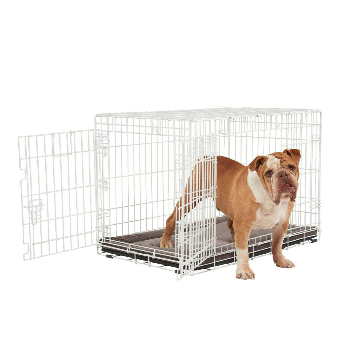 White 2-Door Dog Crate D3925