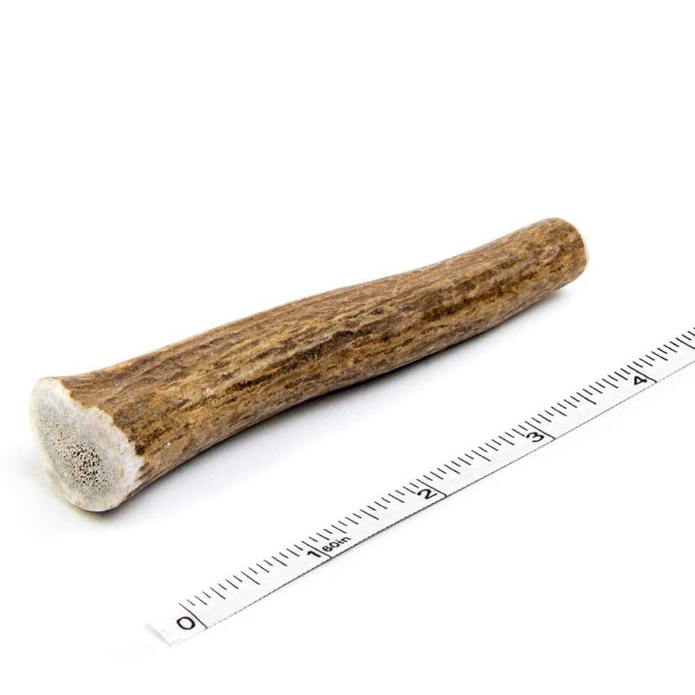 Elk Antler Dog Chew D794