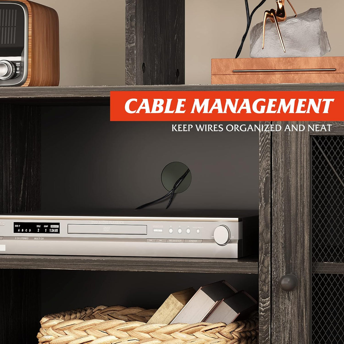 55 inch TV Stand with Storage Cabinet B417866
